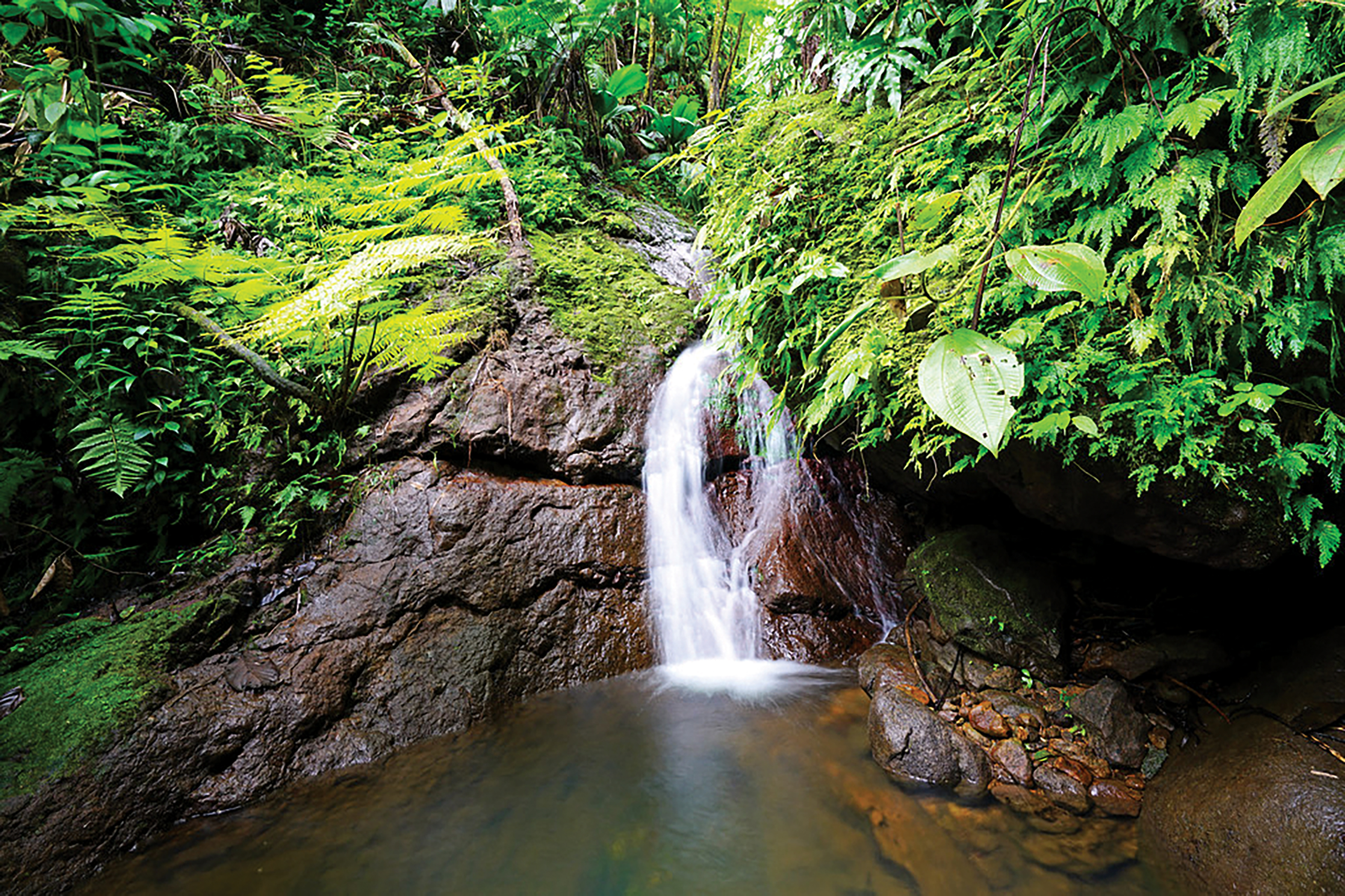 OUTDOOR RETREATS, CARIBBEAN RESORTS